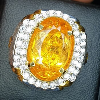 551295_ec092338-fb31-4bba-9fb3-462332c3d515_1981_1981[1][1]